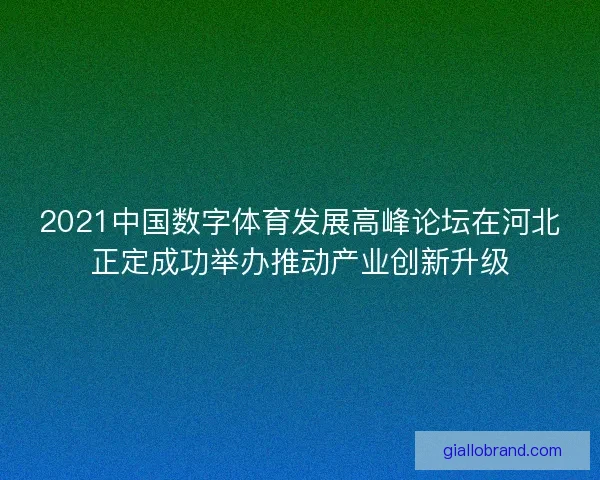 2021中国数字体育发展高峰论坛在河北正定成功举办推动产业创新升级