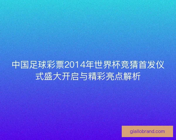 中国足球彩票2014年世界杯竞猜首发仪式盛大开启与精彩亮点解析