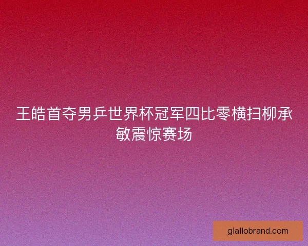 王皓首夺男乒世界杯冠军四比零横扫柳承敏震惊赛场