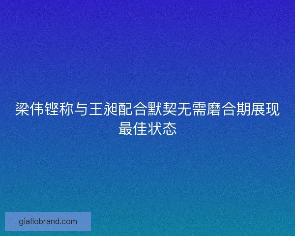 梁伟铿称与王昶配合默契无需磨合期展现最佳状态