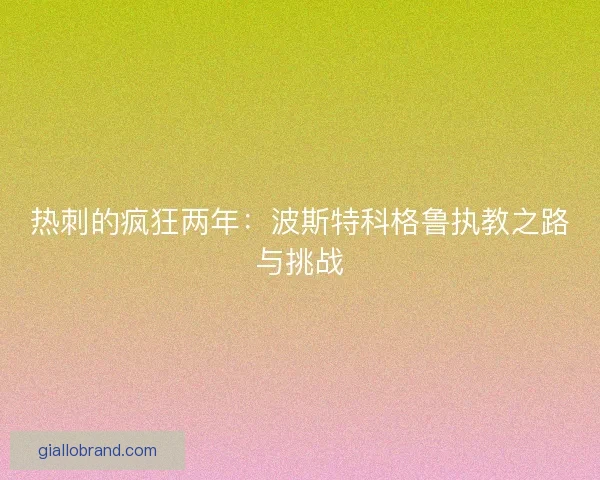热刺的疯狂两年：波斯特科格鲁执教之路与挑战