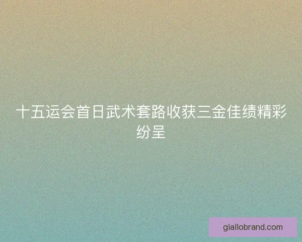 十五运会首日武术套路收获三金佳绩精彩纷呈 十五运会首日武术套路收获三金佳绩精彩纷呈