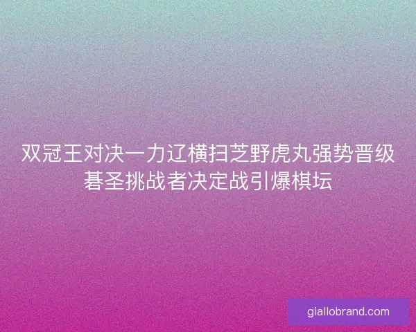 双冠王对决一力辽横扫芝野虎丸强势晋级碁圣挑战者决定战引爆棋坛